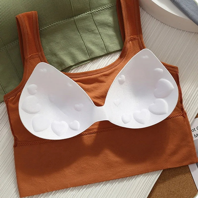 Seamless Crop Top