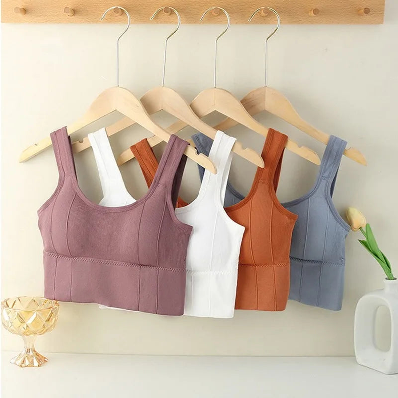 Seamless Crop Top