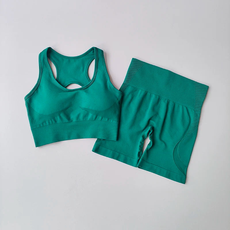 Seamless 2-Peace Yoga Set