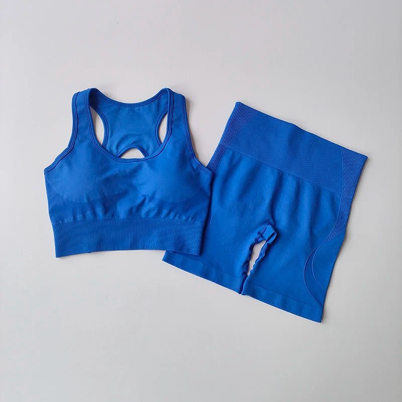 Seamless 2-Peace Yoga Set
