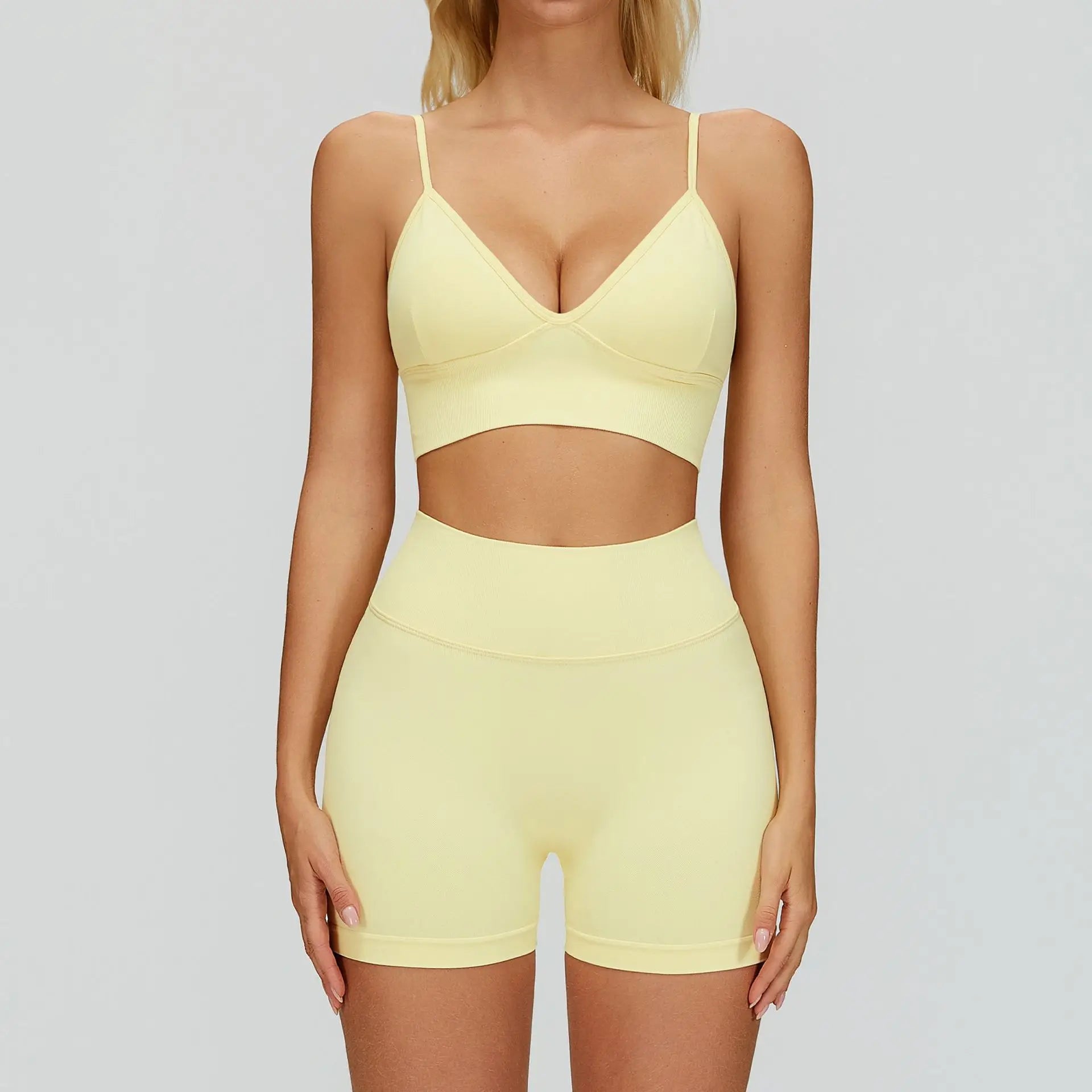Seamless 2/3PCS Gym Set
