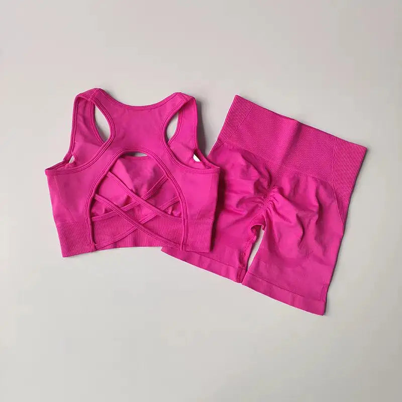 Seamless 2-Peace Yoga Set